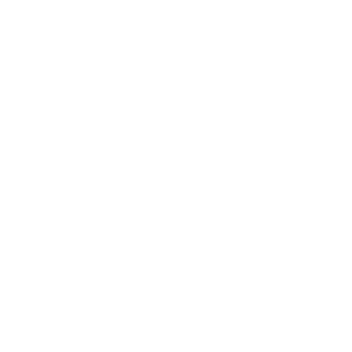 Cardiology Heart Icon